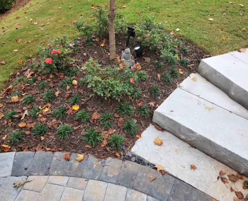 landscape lighting in planting bed