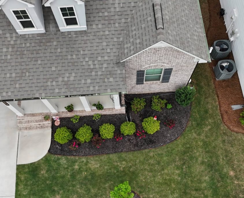 Front yard with new plantings